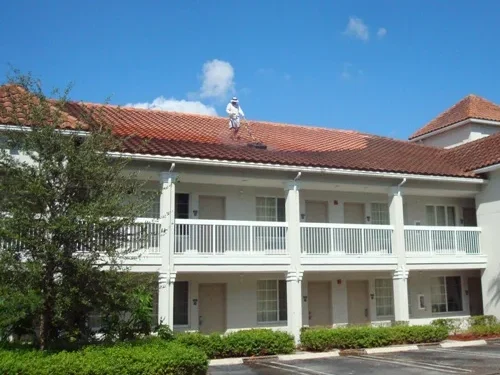 pressure cleaning HOA property management
Expert pressure cleaning, pressure washing, soft washing, roof cleaning, and exterior washing services in South Florida. Serving Miami, Fort Lauderdale, West Palm Beach, Boca Raton, Pompano Beach, Deerfield Beach, Hollywood, Palm Beach Gardens, and surrounding areas. Offering professional residential and commercial roof washing, driveway pressure cleaning, patio power washing, and soft wash services to keep your property looking its best.