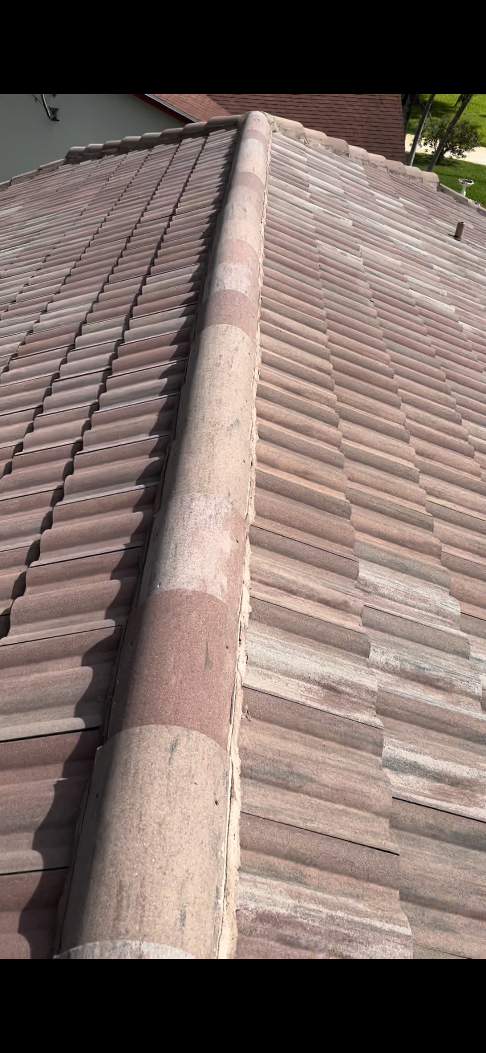 Clean tile roof after professional roof cleaning