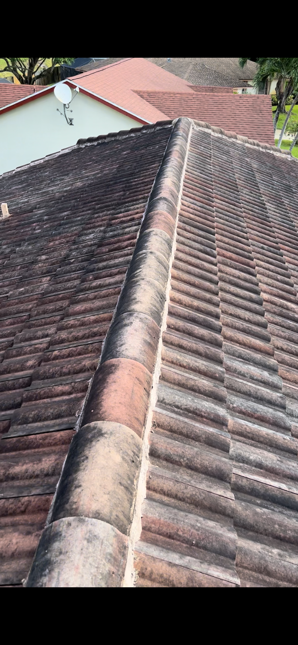 Roof before professional cleaning showing visible surface buildup