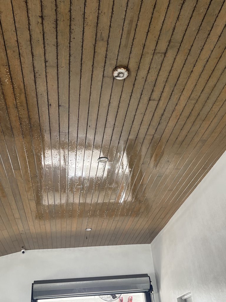 GK Stable Pressure Washing Wellington
Ceiling & wall washing