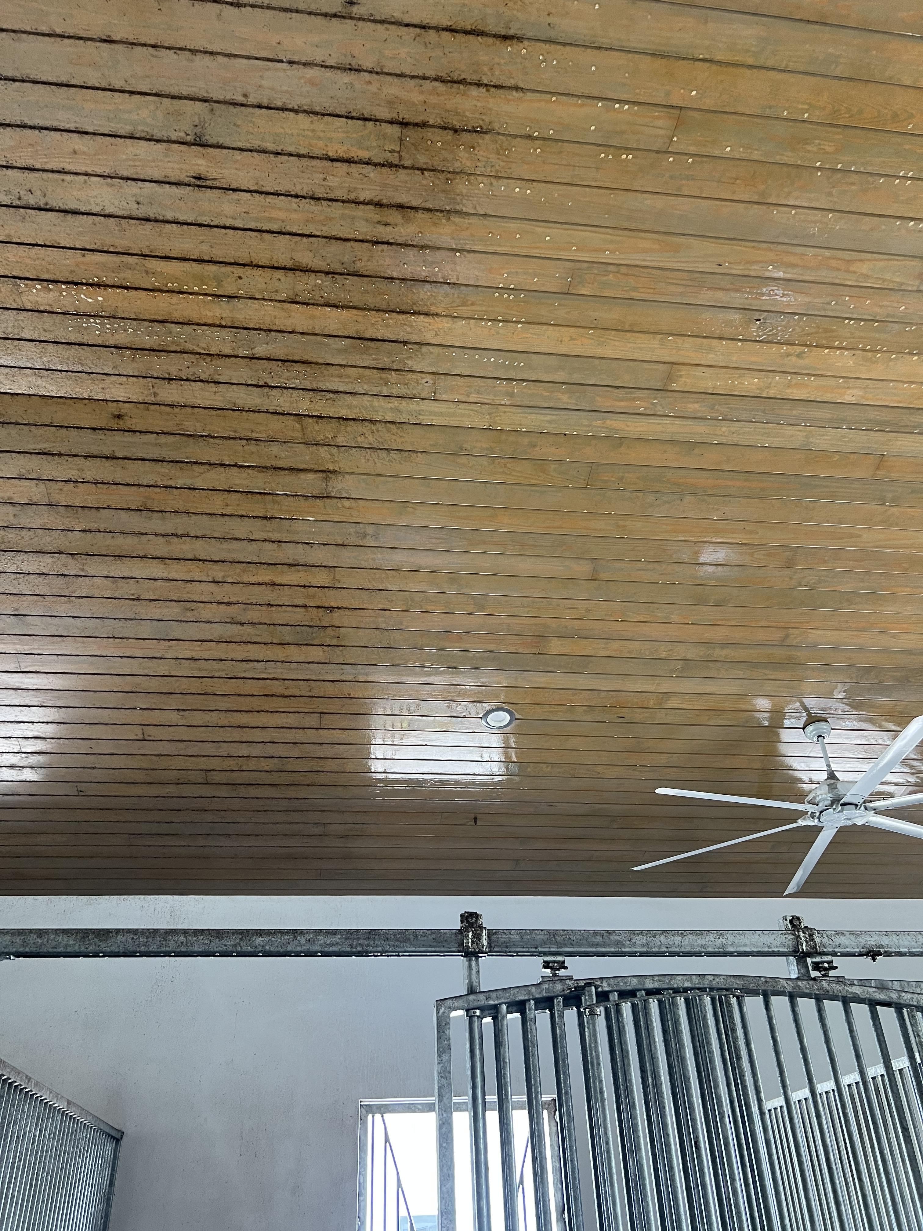 Pressure Washing Horse Stables Wellington Fl 33414